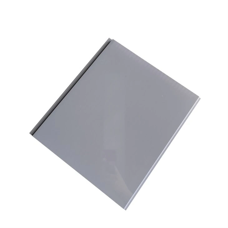Black PVC Ceiling