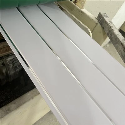 PVC strop